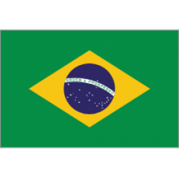 巴西女篮队标,巴西女篮图片