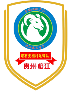 党相村足球队队标,党相村足球队图片